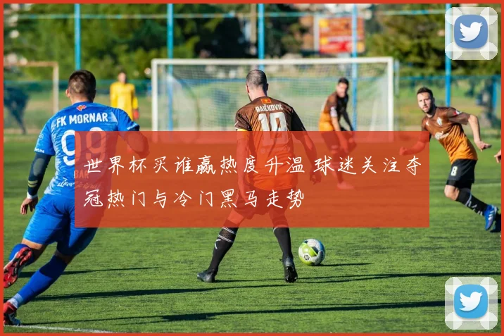 世界杯买谁赢热度升温 球迷关注夺冠热门与冷门黑马走势