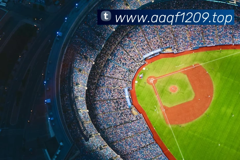 世界杯直播在线直播观看免费平台生态图